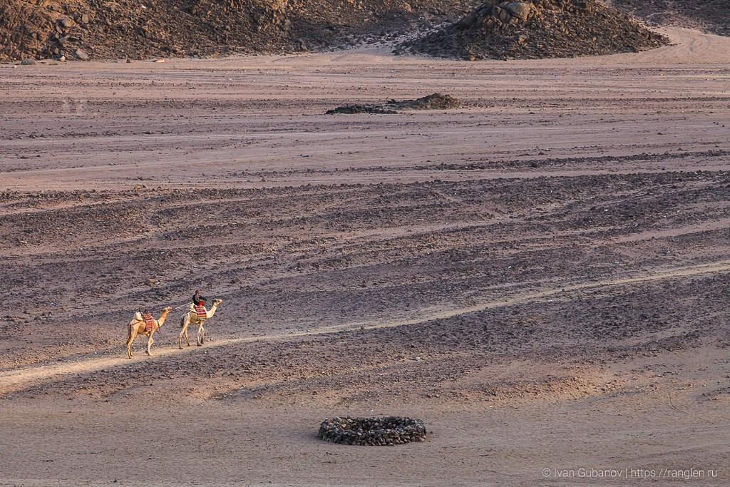 Путешествие в Египет. Фотограф Иван Губанов