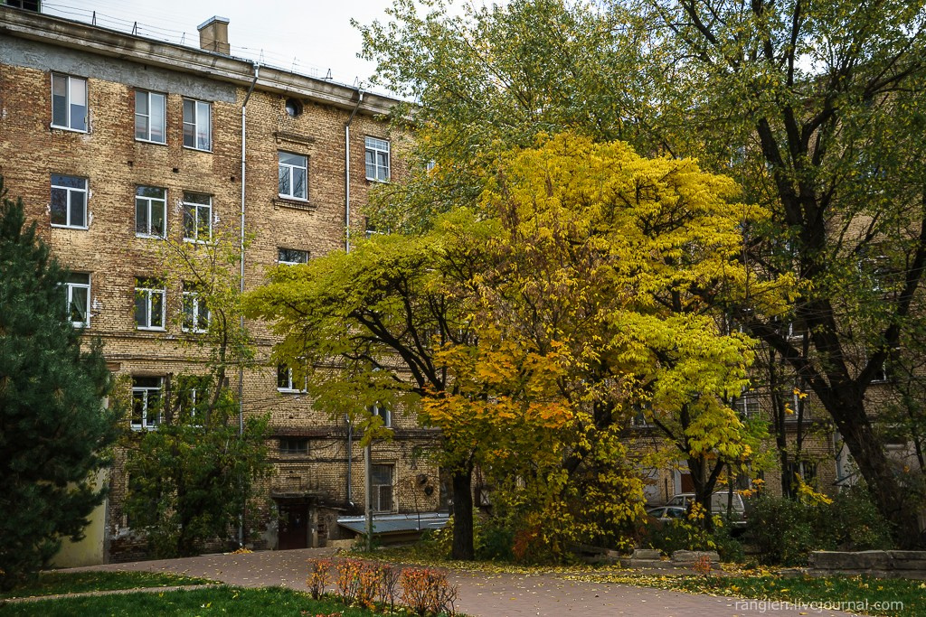 Смоленск 2014. Фотограф Иван Губанов