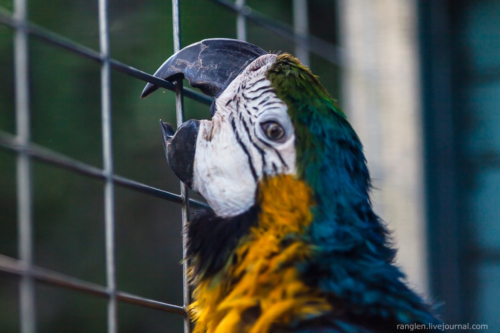 Путешествие на Кипр в 2014 году. Фотограф Иван Губанов