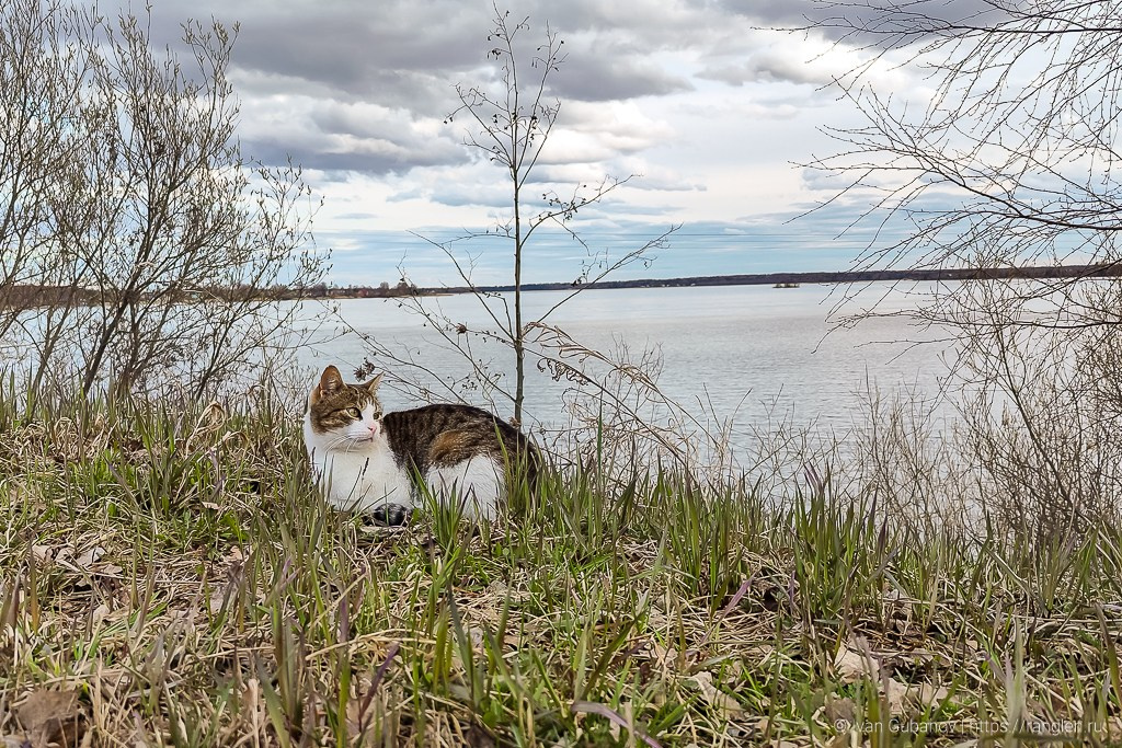 Весеннее путешествие в город Кириллов в Вологодской области. Фотограф Иван Губанов