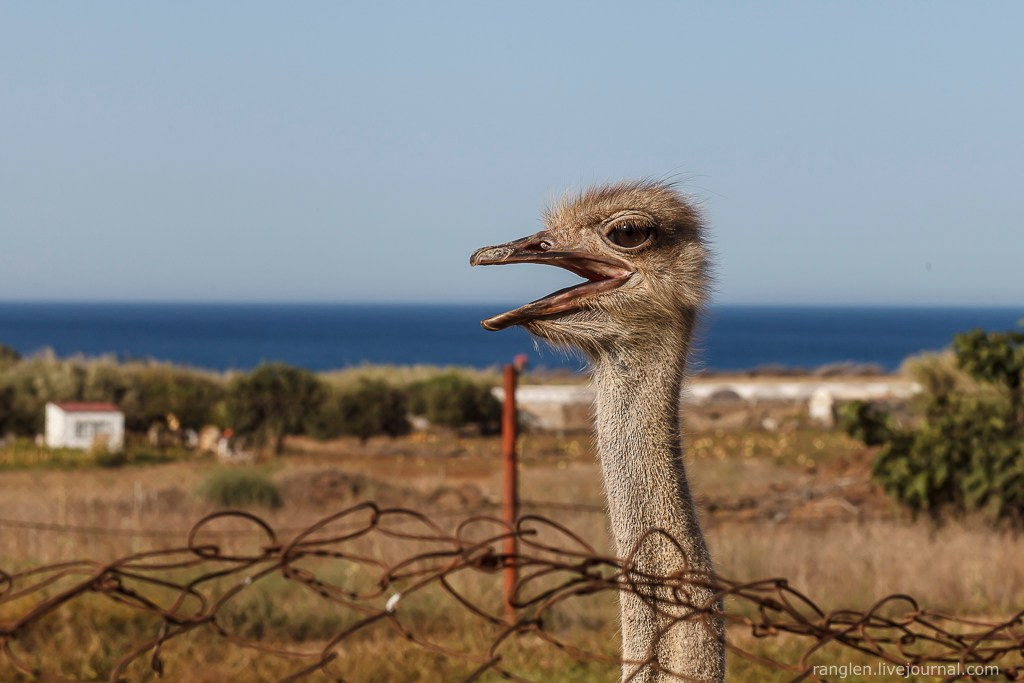 Путешествие на Кипр в 2014 году. Фотограф Иван Губанов