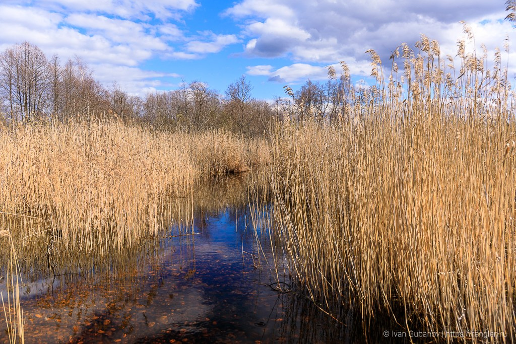 Весеннее путешествие в город Кириллов в Вологодской области. Фотограф Иван Губанов
