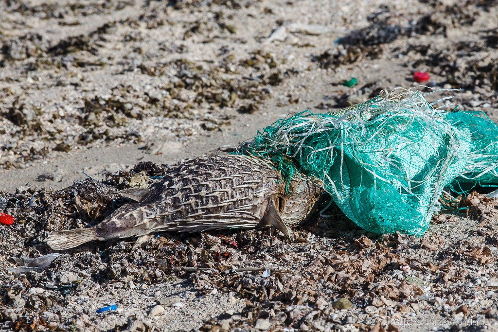 Путешествие в Египет. Фотограф Иван Губанов
