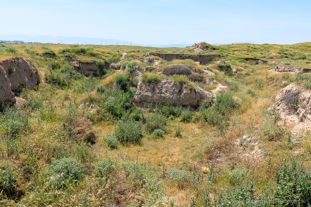 Весенний Самарканд