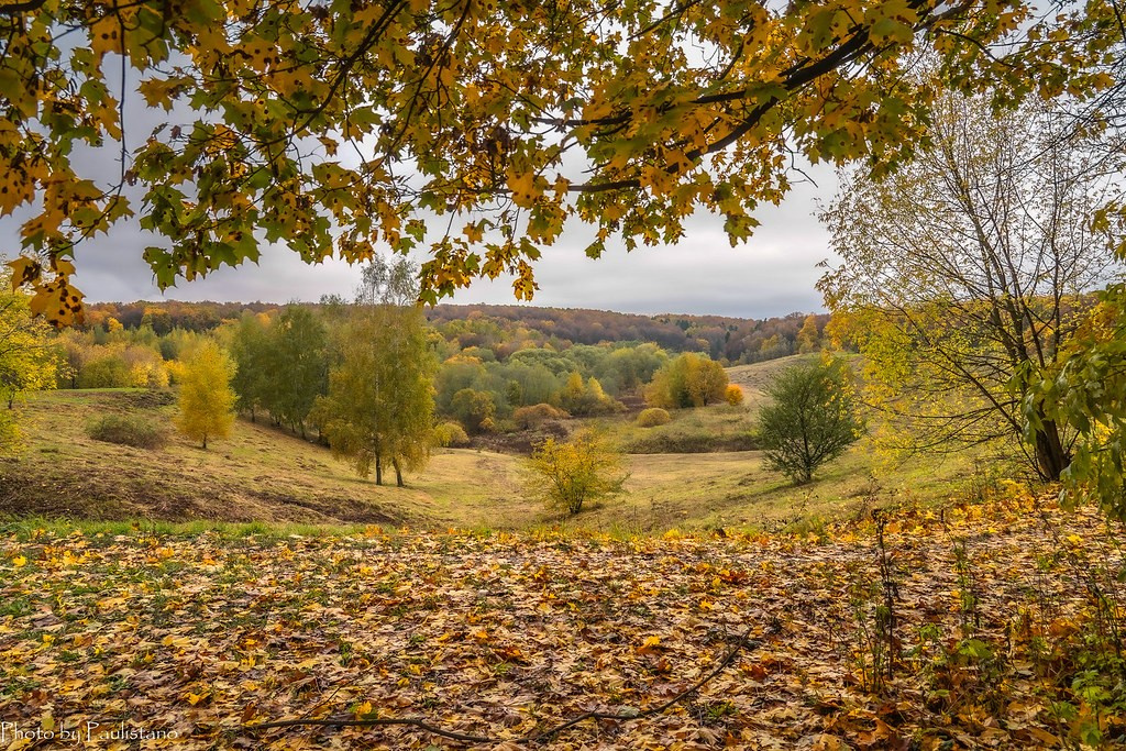 Золотая осень в Шалово-парк. Оздоровительный комплекс Шалово-парк Серебряные ключи