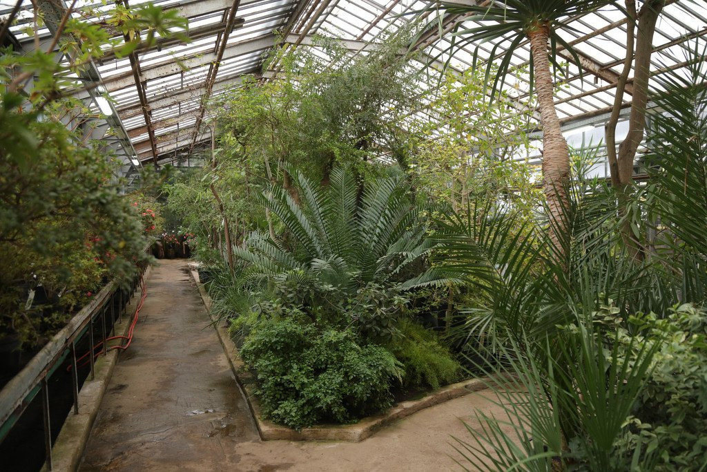 Красивые места для фотосессии. Фото Радости. Свадебный и семейный фотограф в Москве Юлия Самойлова