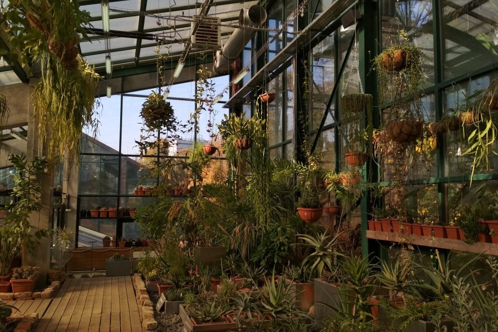 Где фотографироваться если идет дождь. Фото Радости. Свадебный и семейный фотограф в Москве Юлия Самойлова