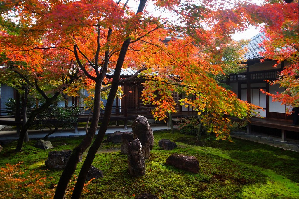 Необычные улицы и дворики Москвы. Фото Радости. Свадебный и семейный фотограф в Москве Юлия Самойлова