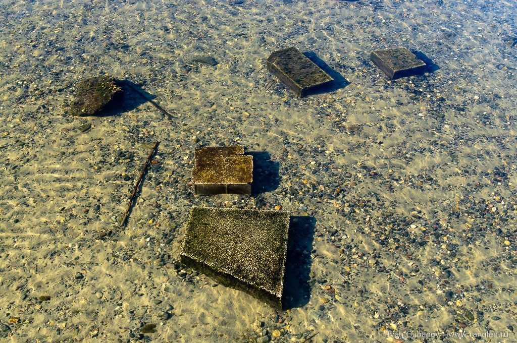 Путешествие в Переславль-Залесский. Фотограф Иван Губанов