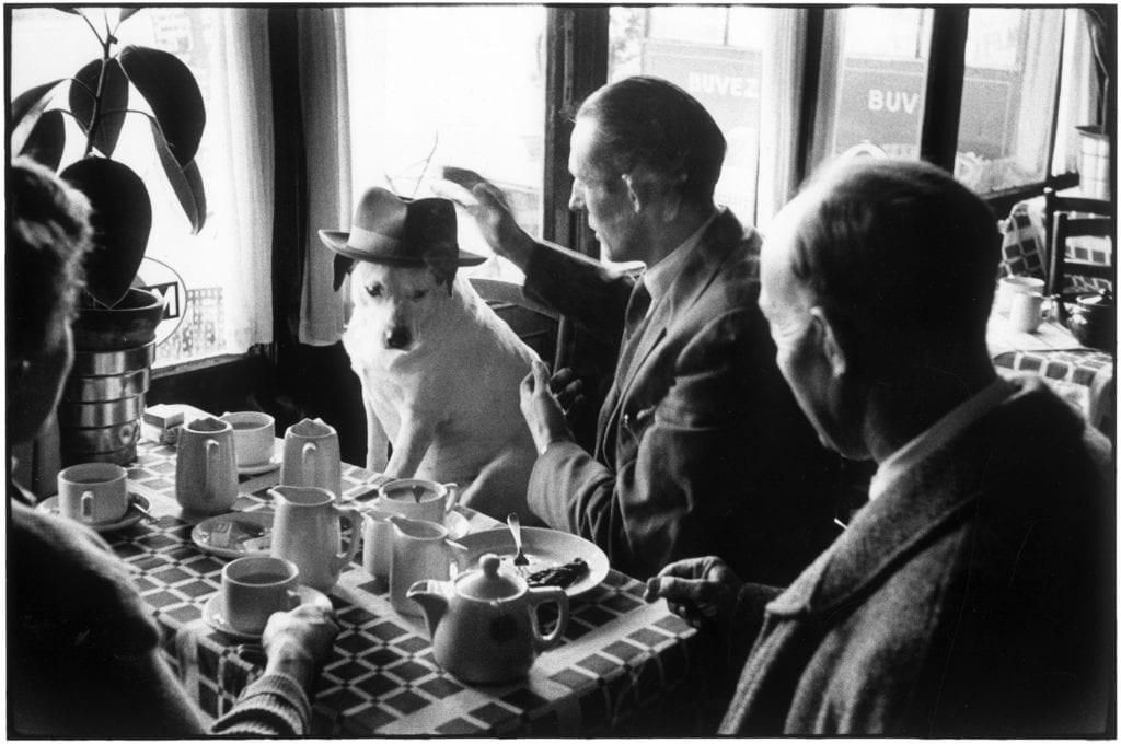 Elliott Erwitt. Выпускные альбомы, фотограф Денис Зимин в городе Ростове-на-Дону