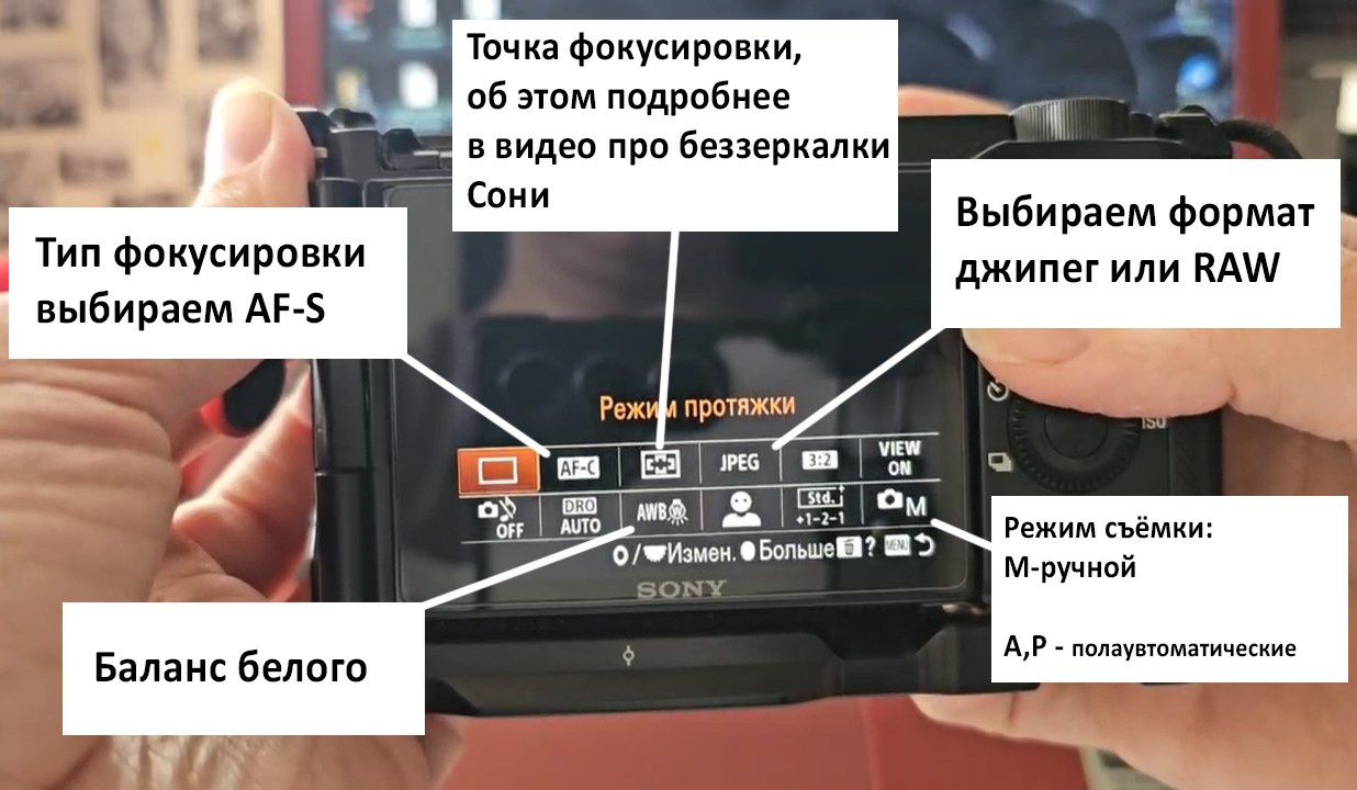 Сони. Международная онлайн фотошкола