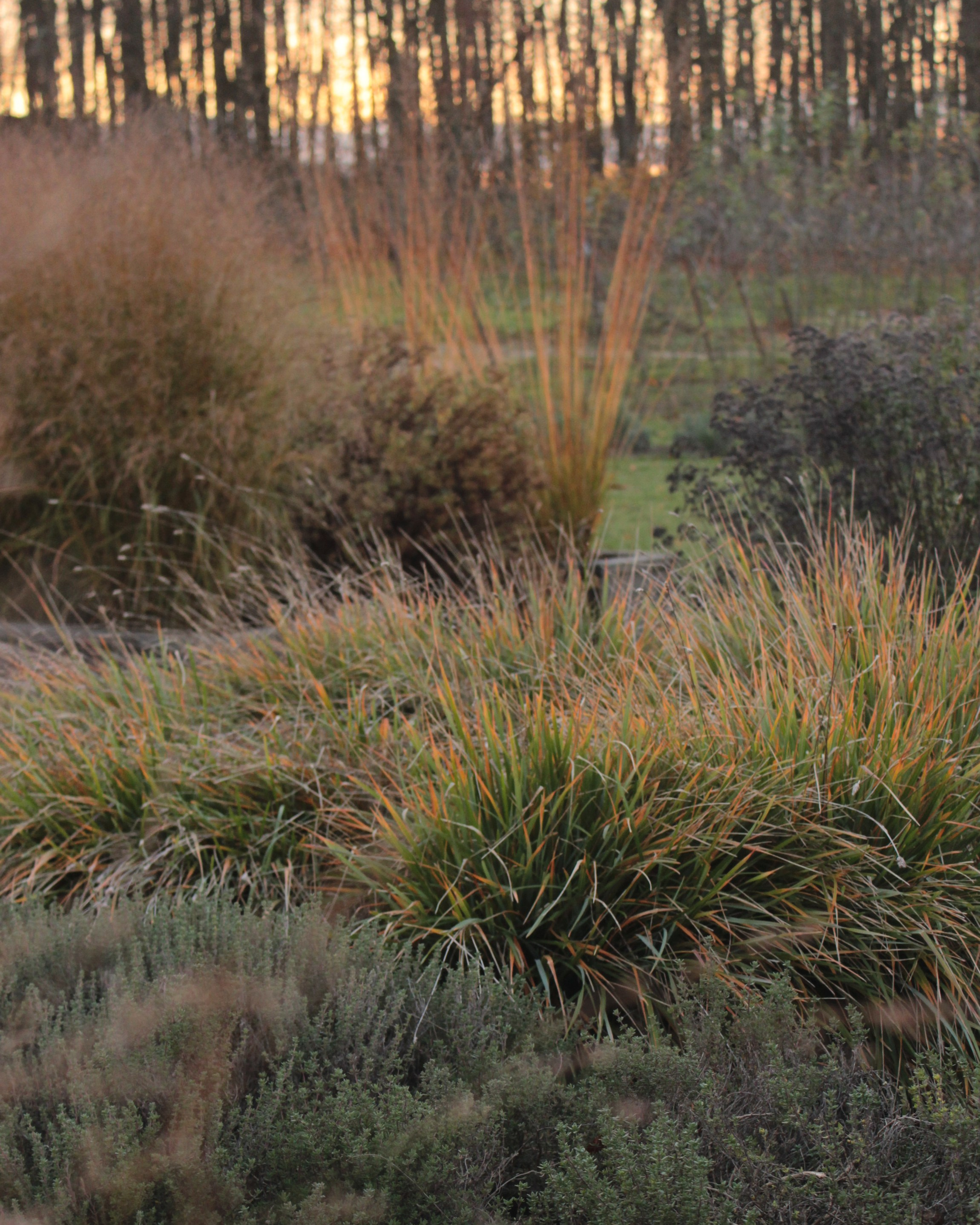 LA. Ландшафтный дизайн в Минске и Гродно