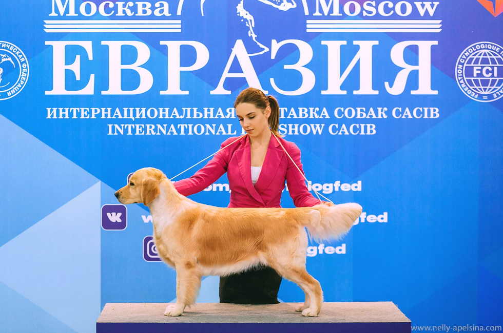 ПАКЕТЫ УСЛУГ. Фотограф Нелли Самойлова