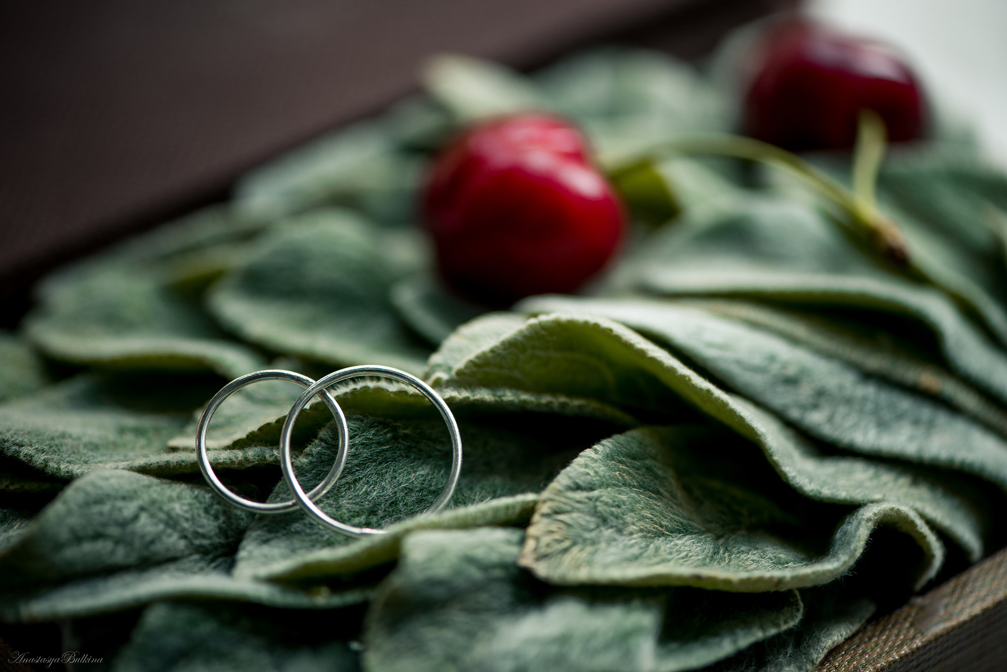 Портфолио. Свадебный Фотограф в Твери Анастасия Булкина