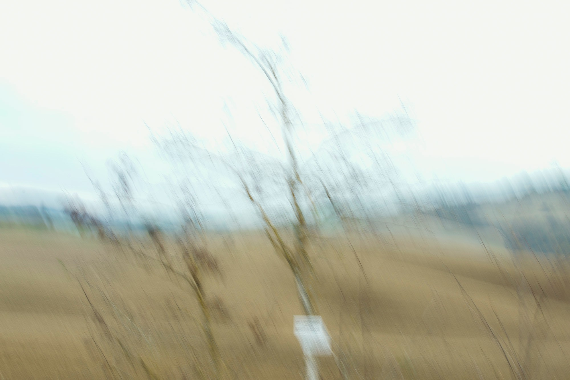 Дыхание Тосканы — абстрактная арт-фотография в зелёных тонах | Talulla Photography