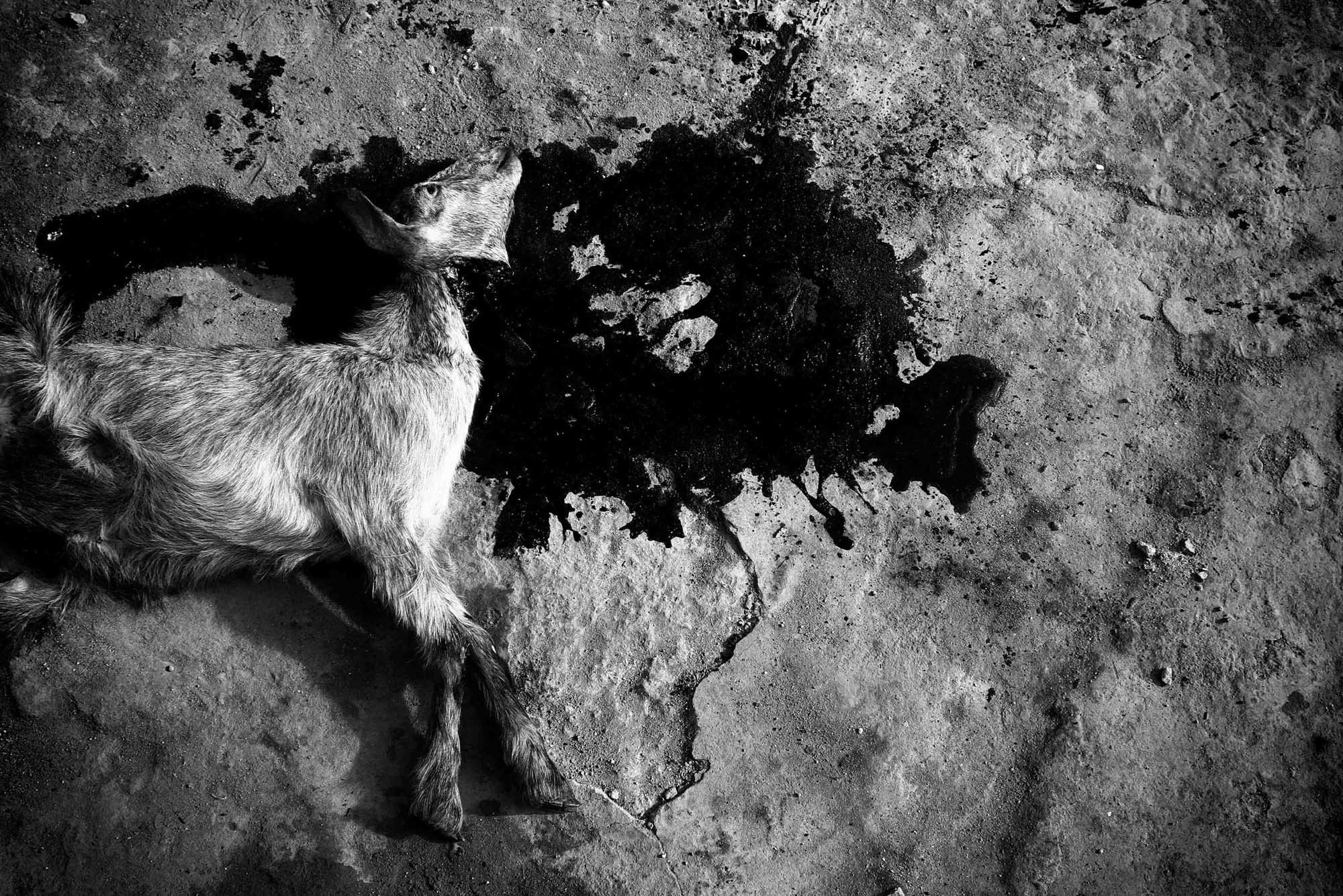 Документальная фотография: истории. Школа психологической фотографии Refflector