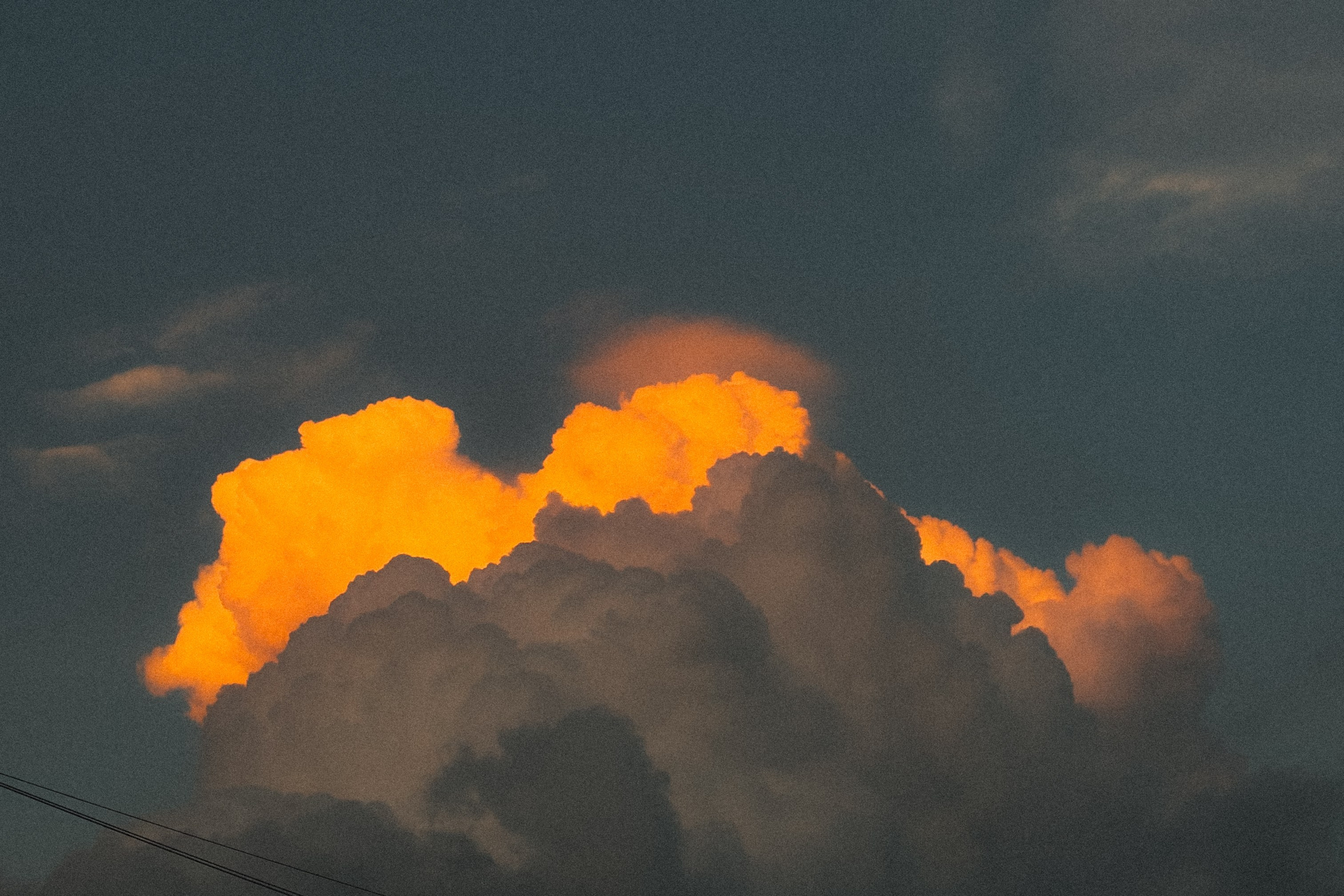 Фотограф Анастасия Дмитриева