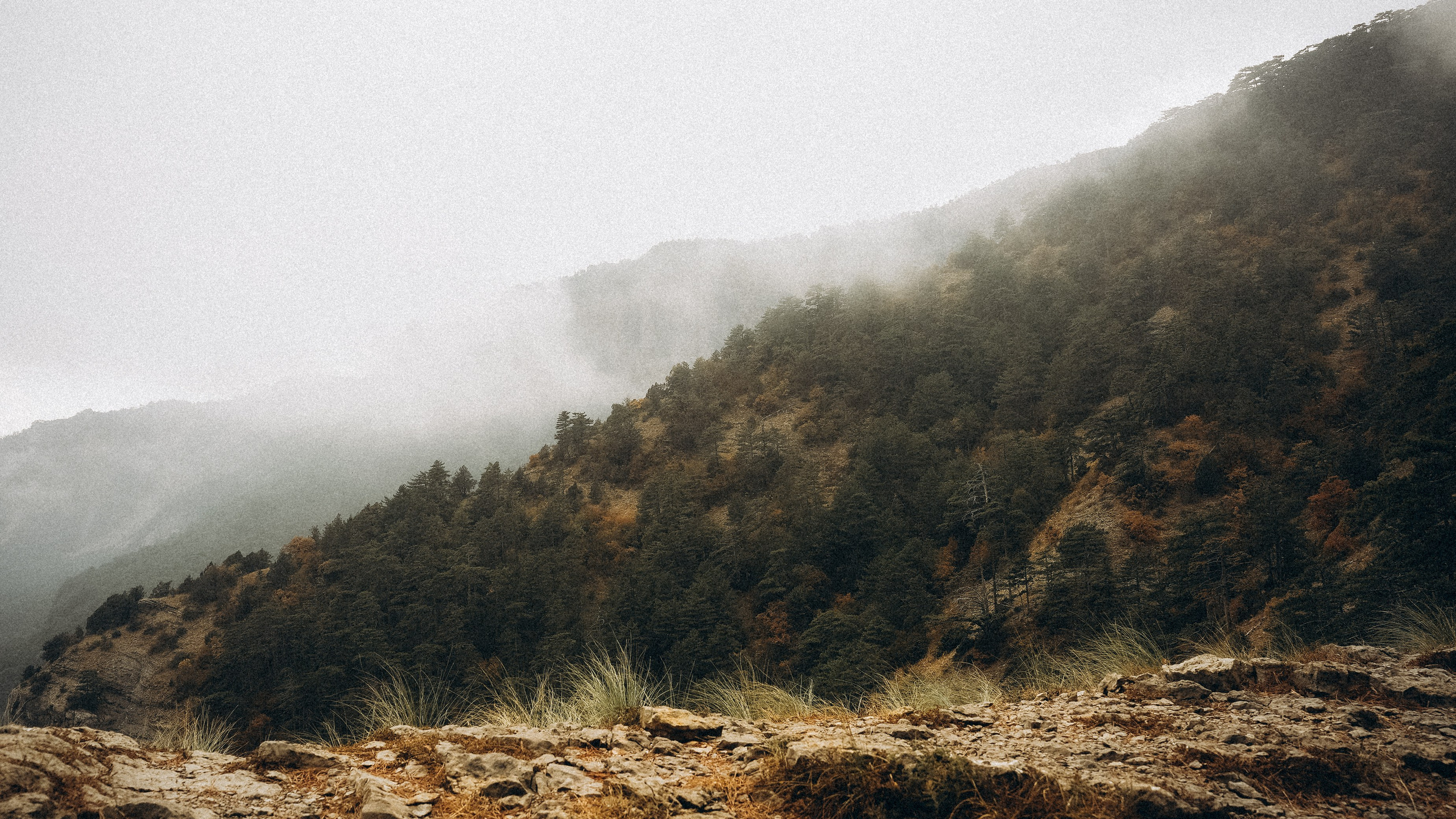 Боткинская тропа. Фотограф из Москвы — DASHA NOVA | Авторская фотография в разных жанрах