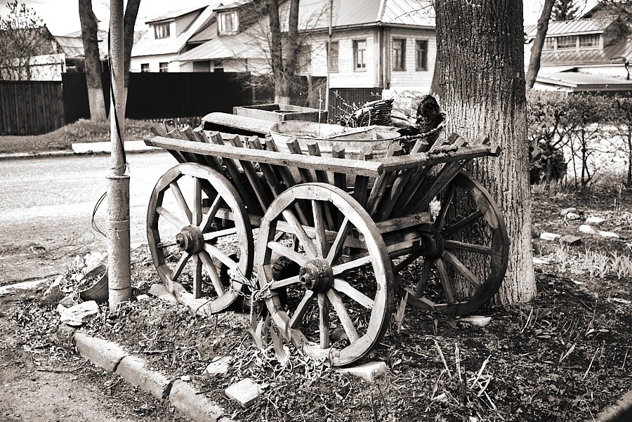 Объектив как кисть художника. НЕЙРО-АРТы Воеводова