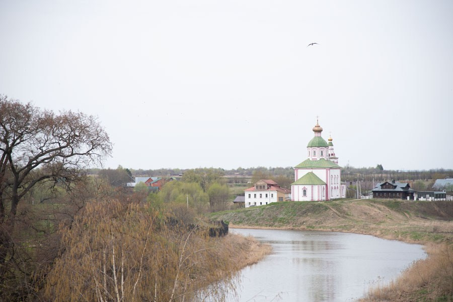 Объектив как кисть художника. НЕЙРО-АРТы Воеводова