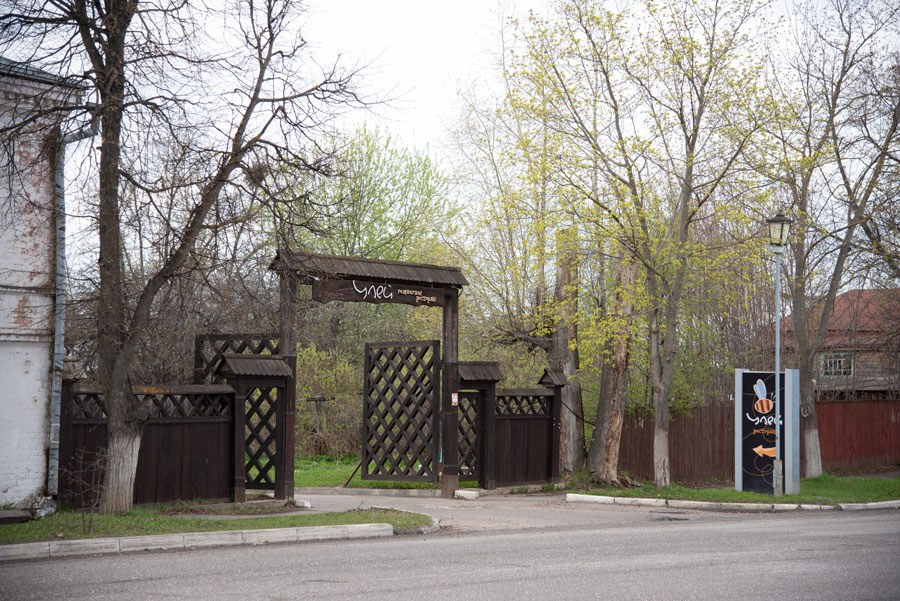 Объектив как кисть художника. НЕЙРО-АРТы Воеводова