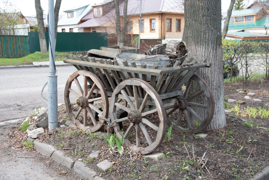Объектив как кисть художника. НЕЙРО-АРТы Воеводова