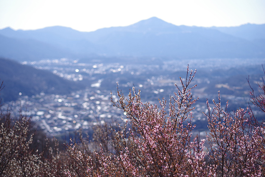 PENTAX Выпустил четвертое специальное издание HARUBENI. Фотограф — видеограф в Москве Дмитрий Менделеев