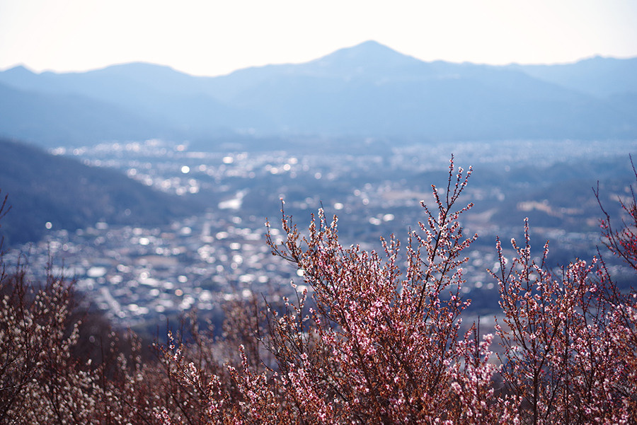 PENTAX Выпустил четвертое специальное издание HARUBENI. Фотограф — видеограф в Москве Дмитрий Менделеев