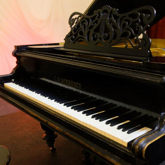 Концерты. Дом Шрёдера