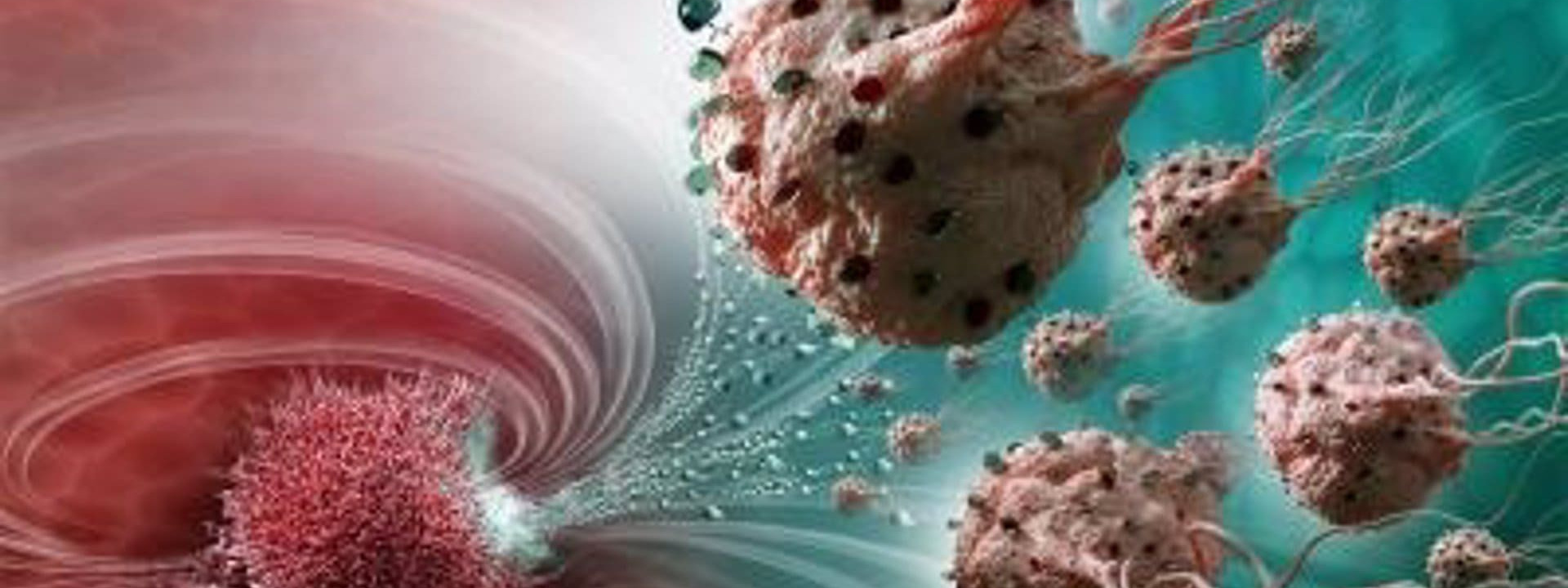 Как принимать комплексные пищевые добавки компании Сово-Сова?. «Сово-Сова» продукция для омоложения, здоровья и долголетия