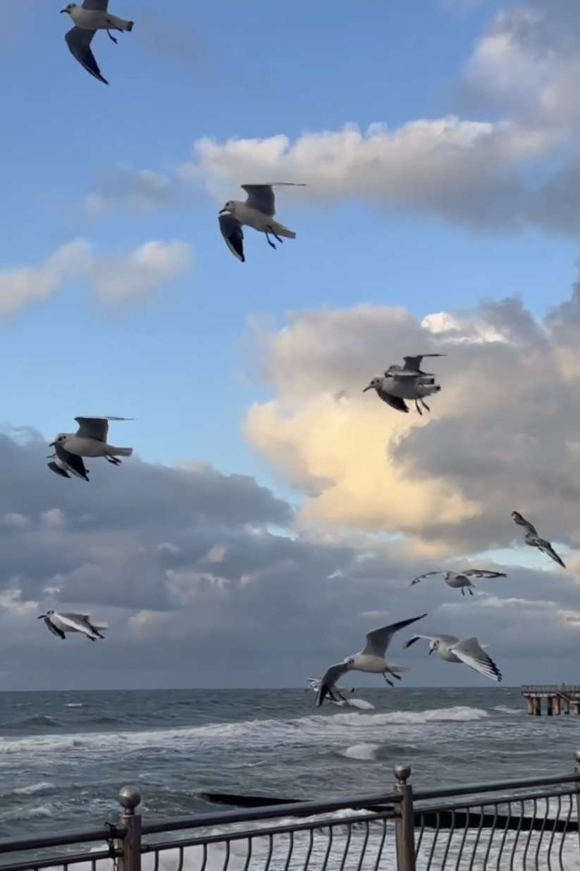 Путешествие в Калининград. Фотограф и видеограф Елена Лисина