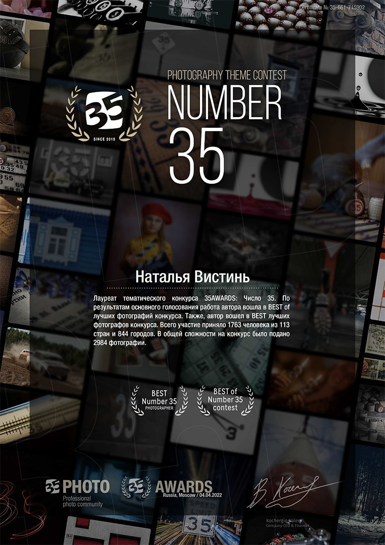 Мои достижения. Фотограф/ Москва и МО/ Обучение