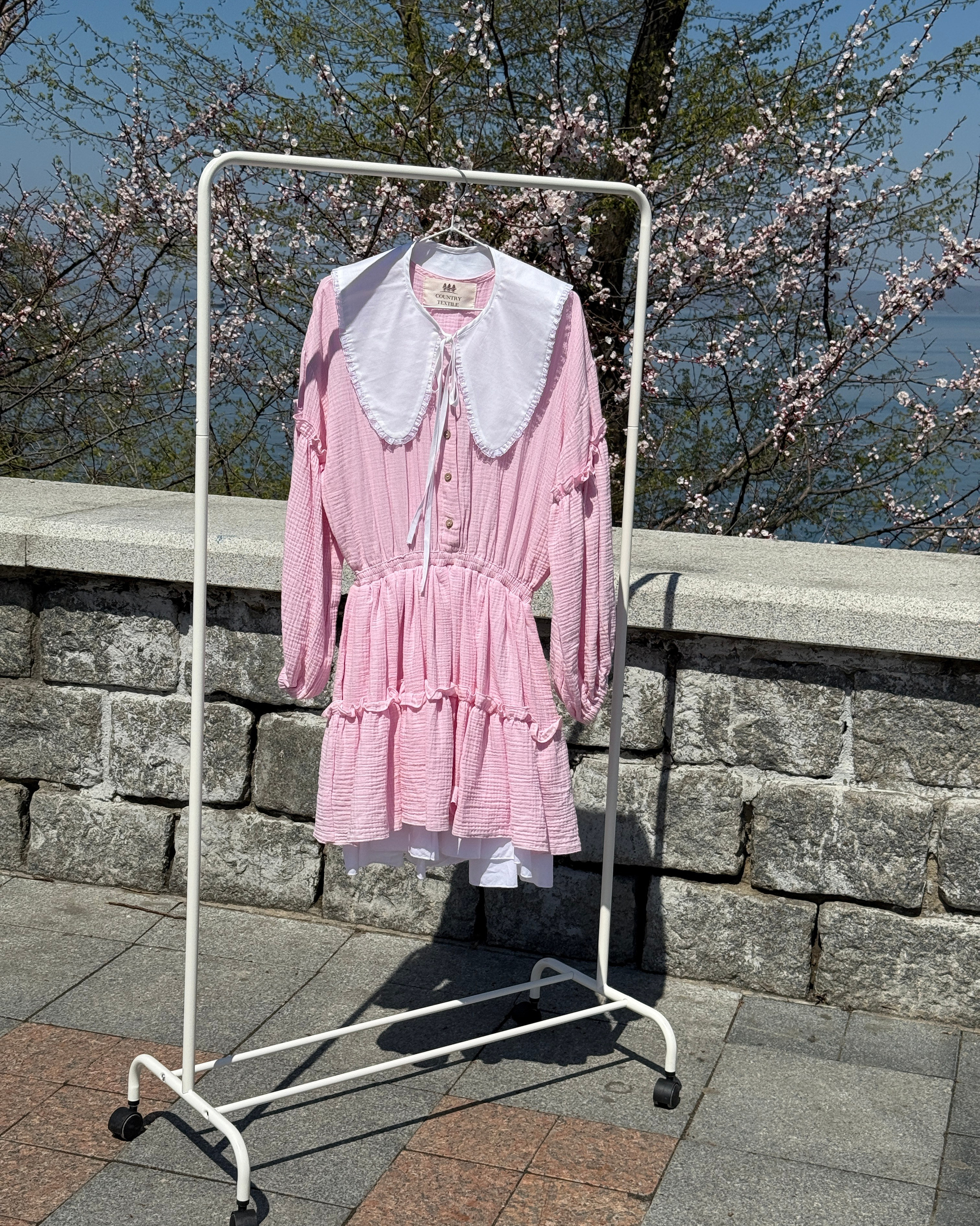 New лето. Iva rent