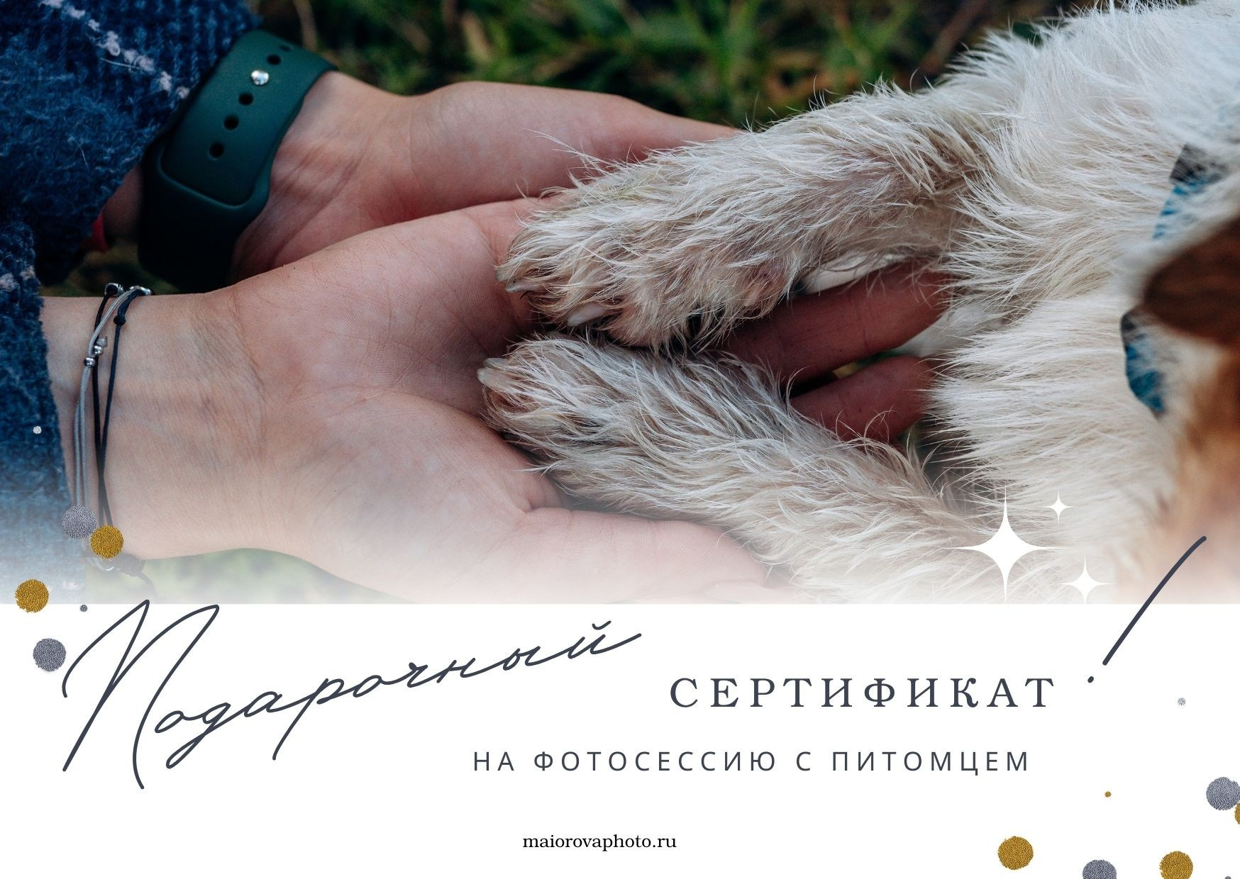 фотосъёмка с собакой в Петербурге