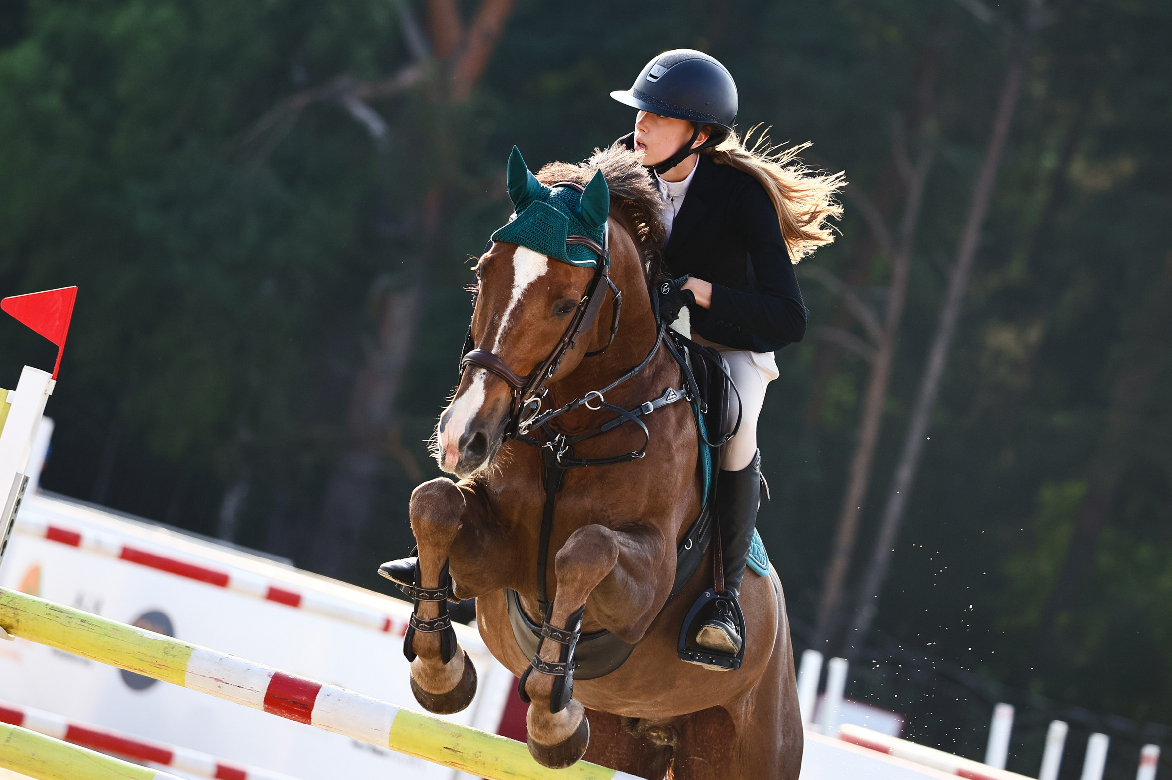 Купить фотографии с турниров. KatymartArt — Equine photography