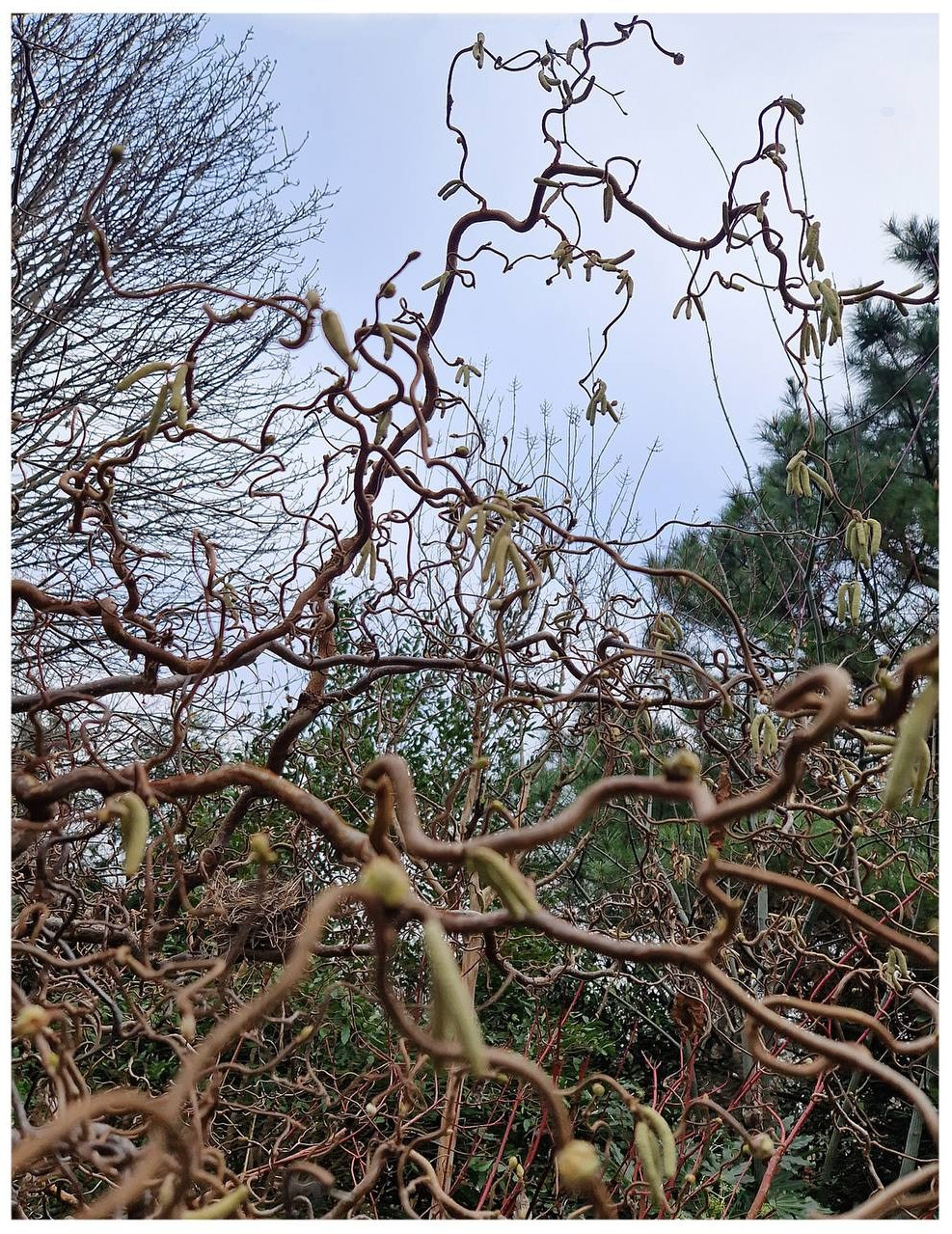 Елена: «За 21 день я ещё раз убедилась, что природа для меня это и целитель, и вдохновитель, и заряд энергии.». 💗КЛУБ НЕЖНОСТИ К СЕБЕ💗