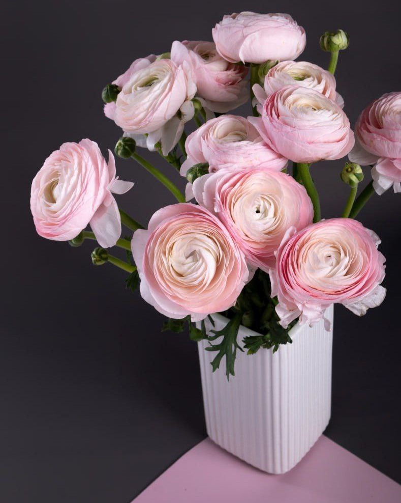 Преметный фотограф. Репортажный и портретный фотограф в Москве Саханцева Анна