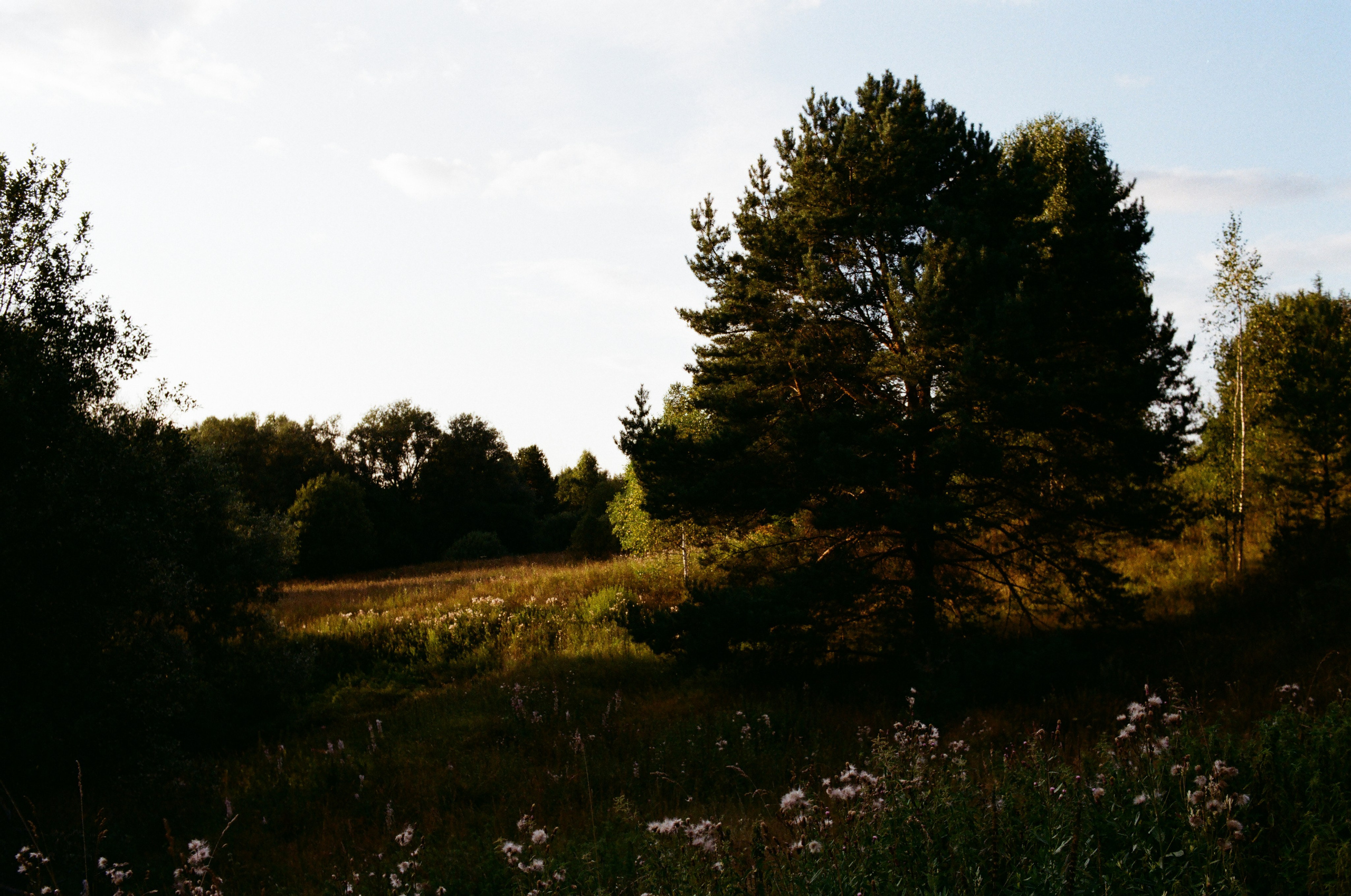 Aksenovo. Photographer Dima Sharov | Фотограф Дима Шаров