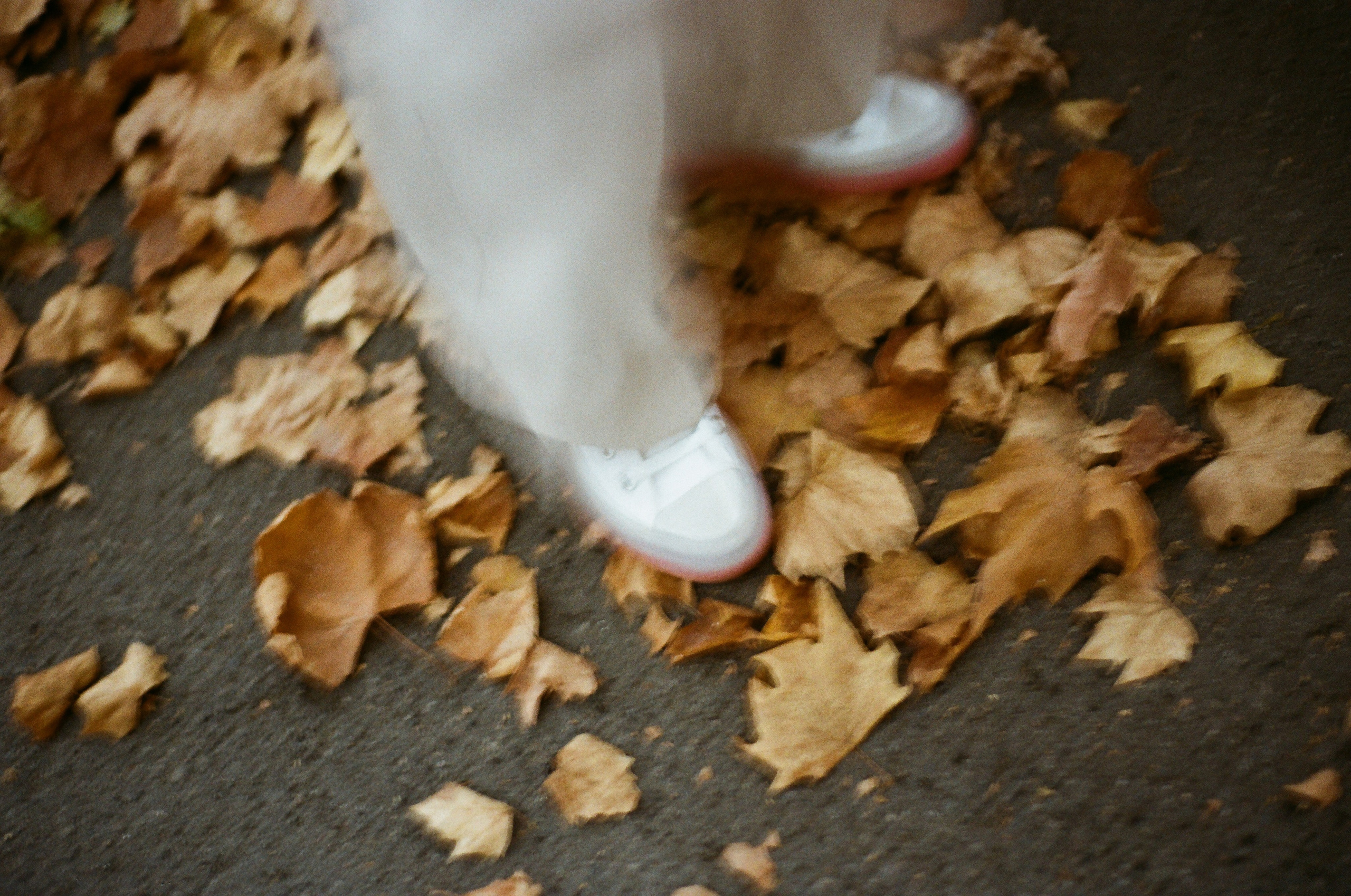 Journal. Photographer Dima Sharov | Фотограф Дима Шаров