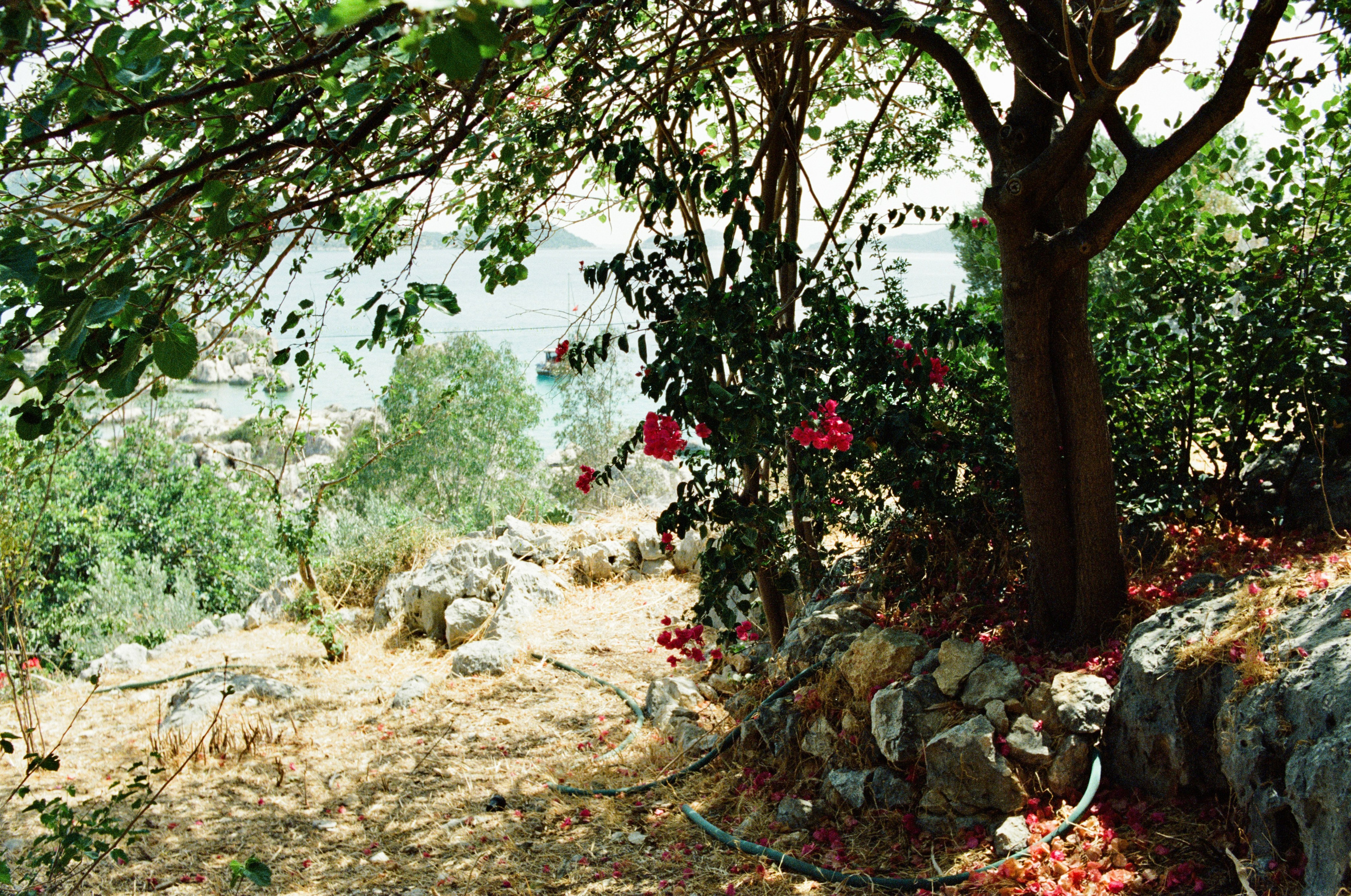 Journal. Photographer Dima Sharov | Фотограф Дима Шаров