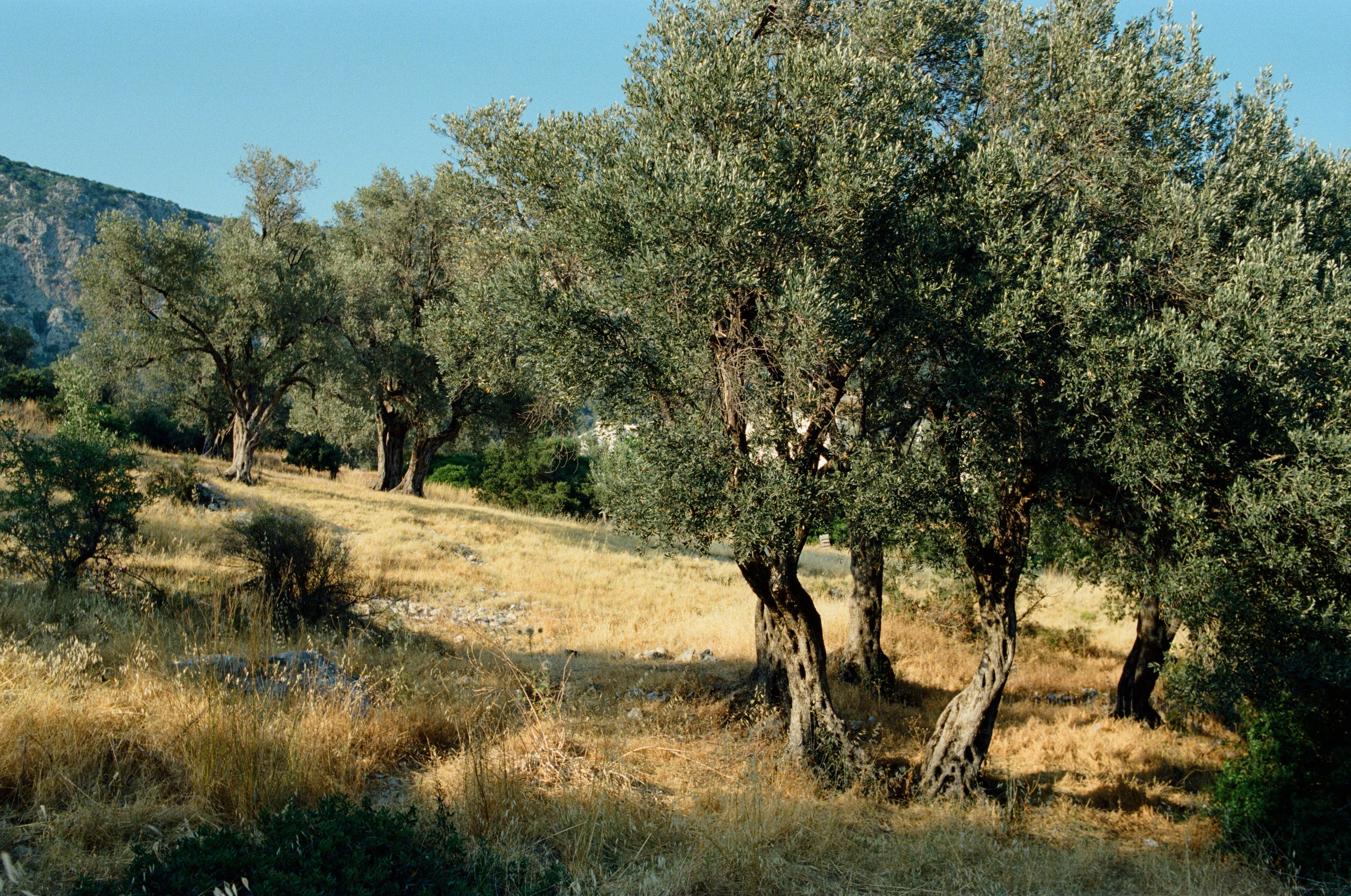Journal. Photographer Dima Sharov | Фотограф Дима Шаров