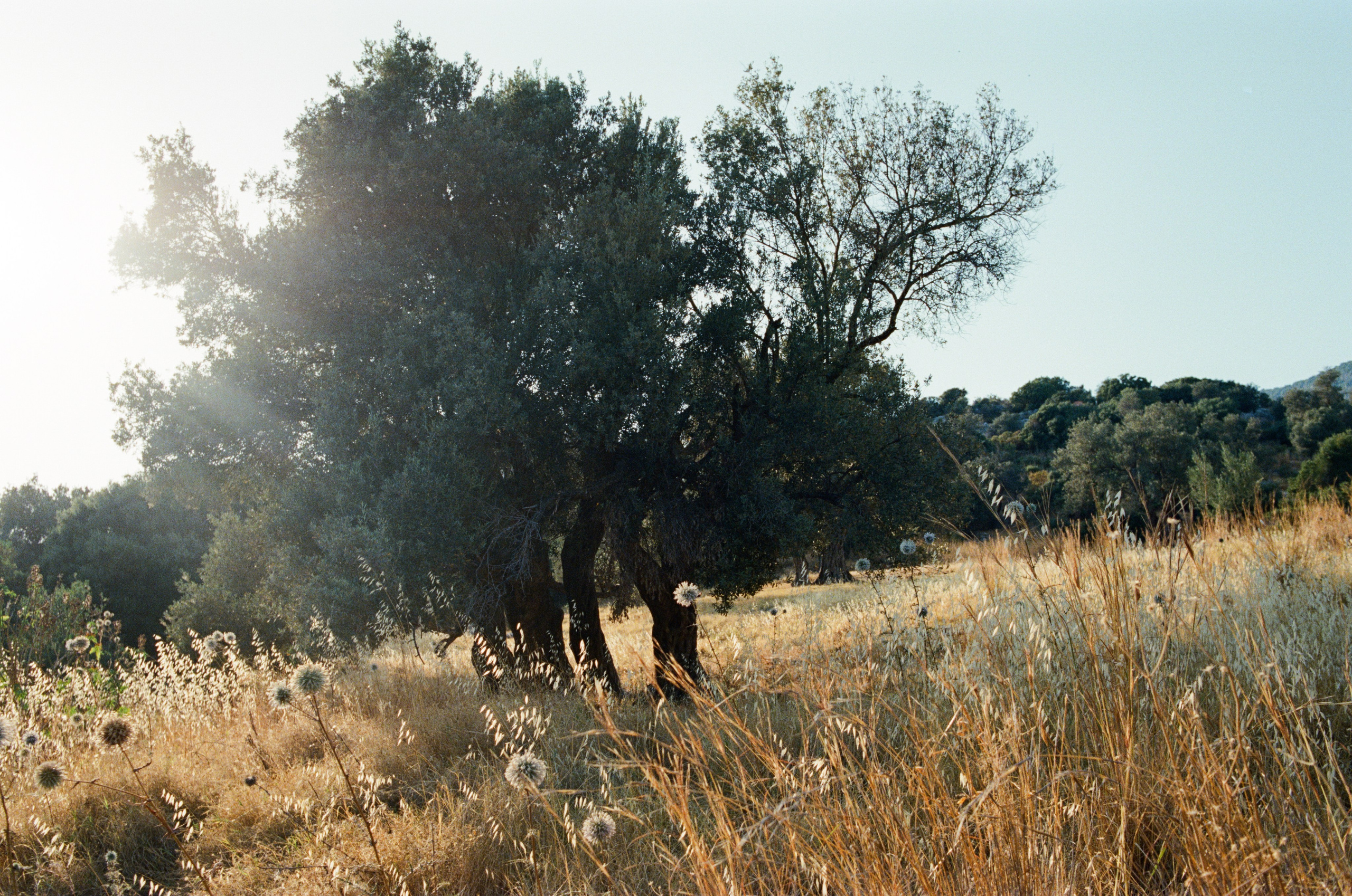 Journal. Photographer Dima Sharov | Фотограф Дима Шаров