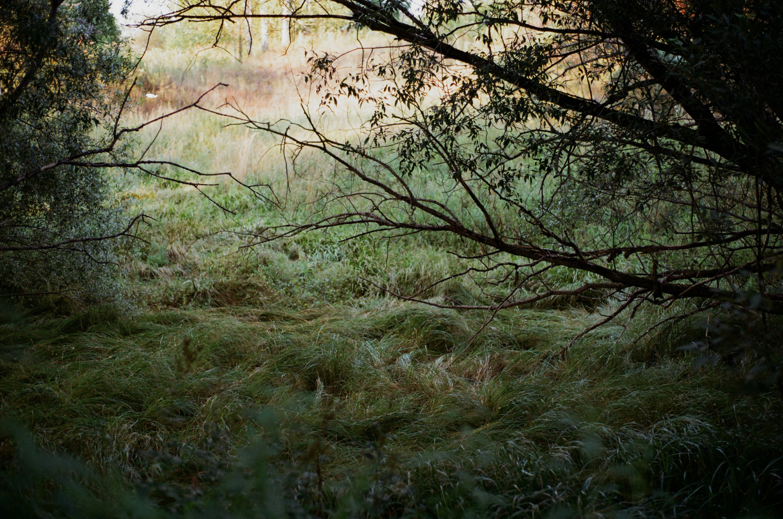 Aksenovo. Photographer Dima Sharov | Фотограф Дима Шаров