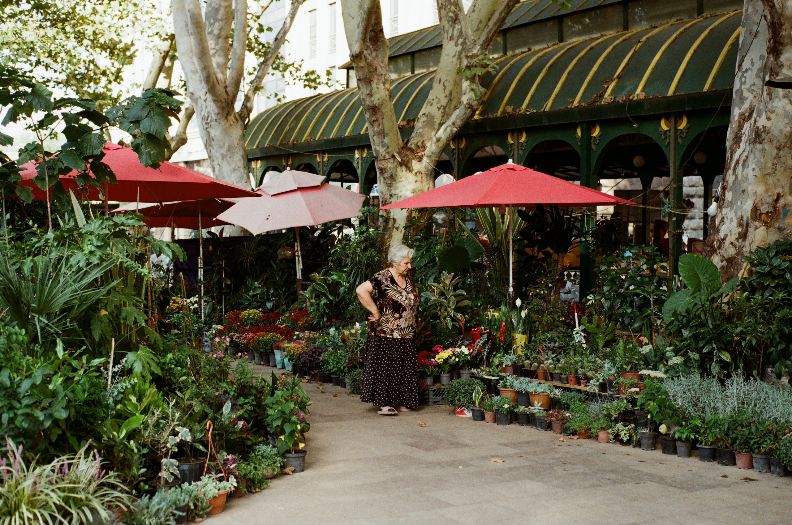 Journal. Photographer Dima Sharov | Фотограф Дима Шаров