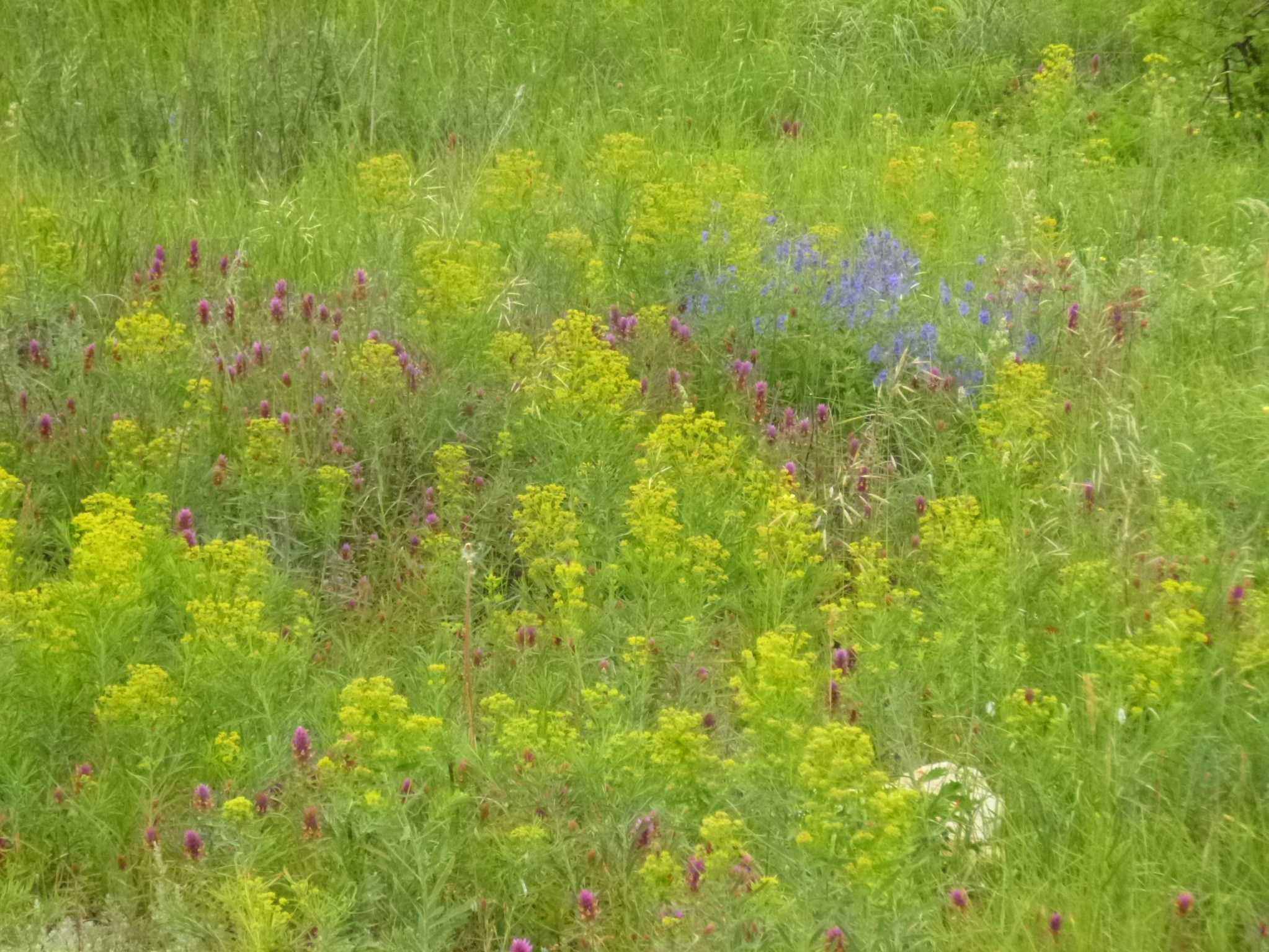 Н. Щеглова. Matryoshka64