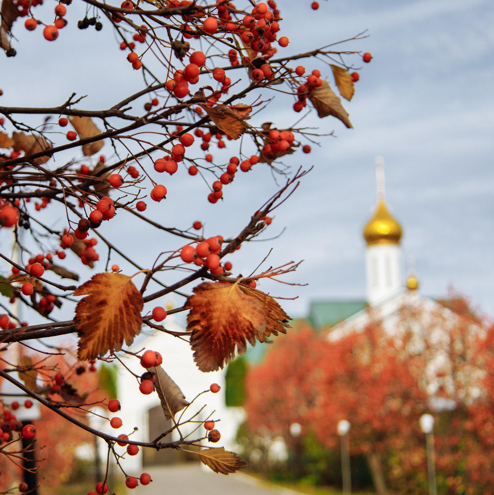 Обо мне. Фотограф katya_vkadre Таганрог