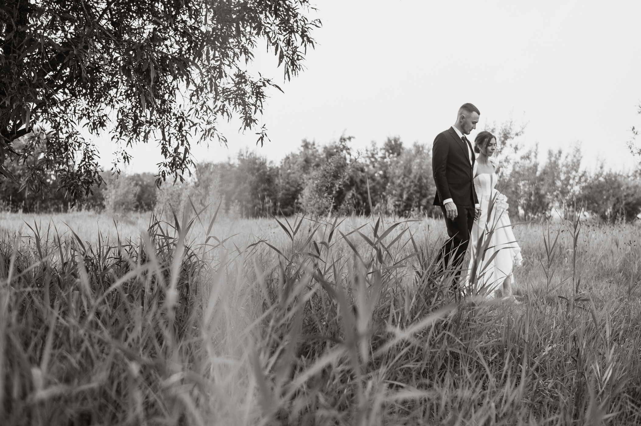 Услуги/Стоимость. Свадебный фотограф в Сургуте Никита Нертымов