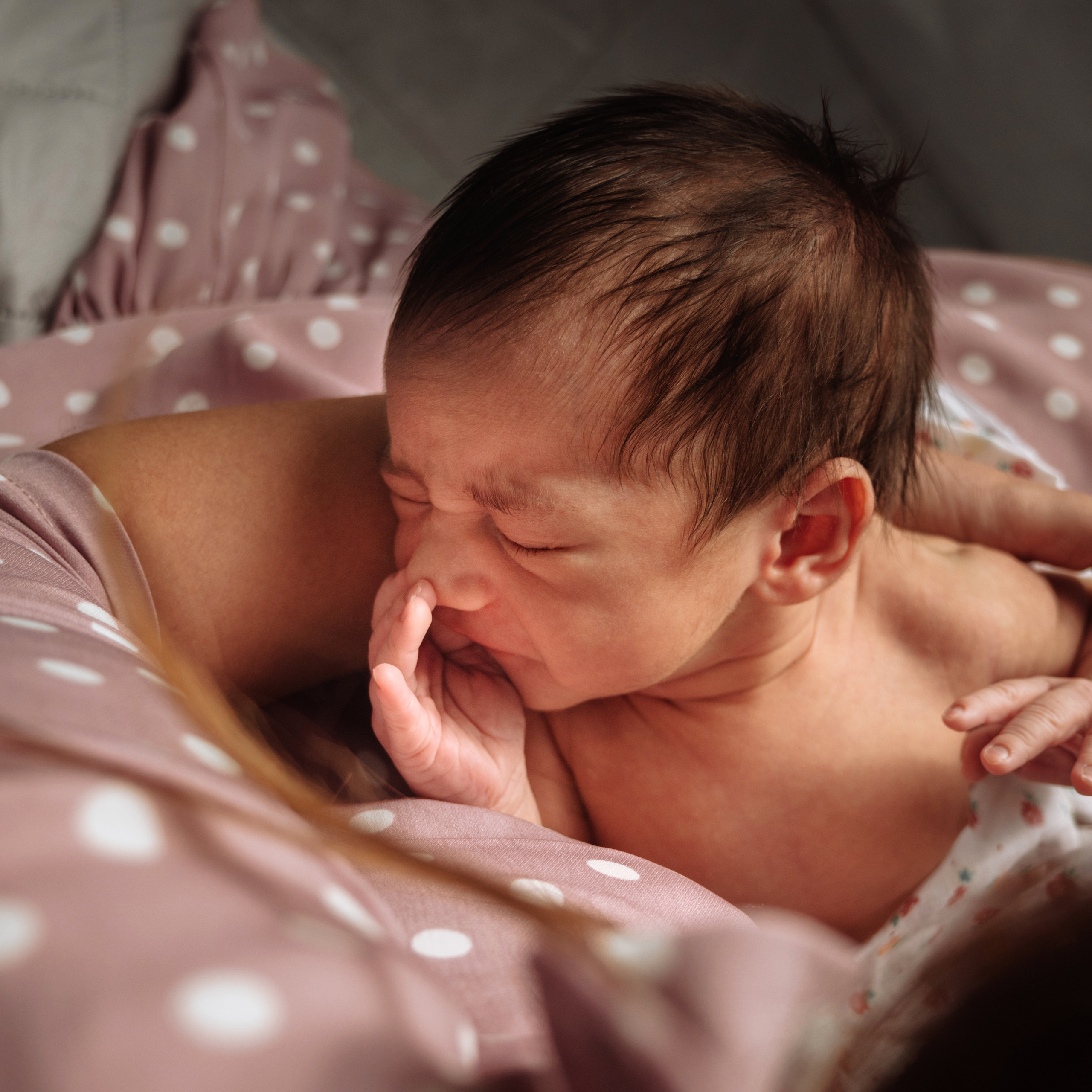 Контакты. Семейный фотограф и видеограф Анастасия Брежнева