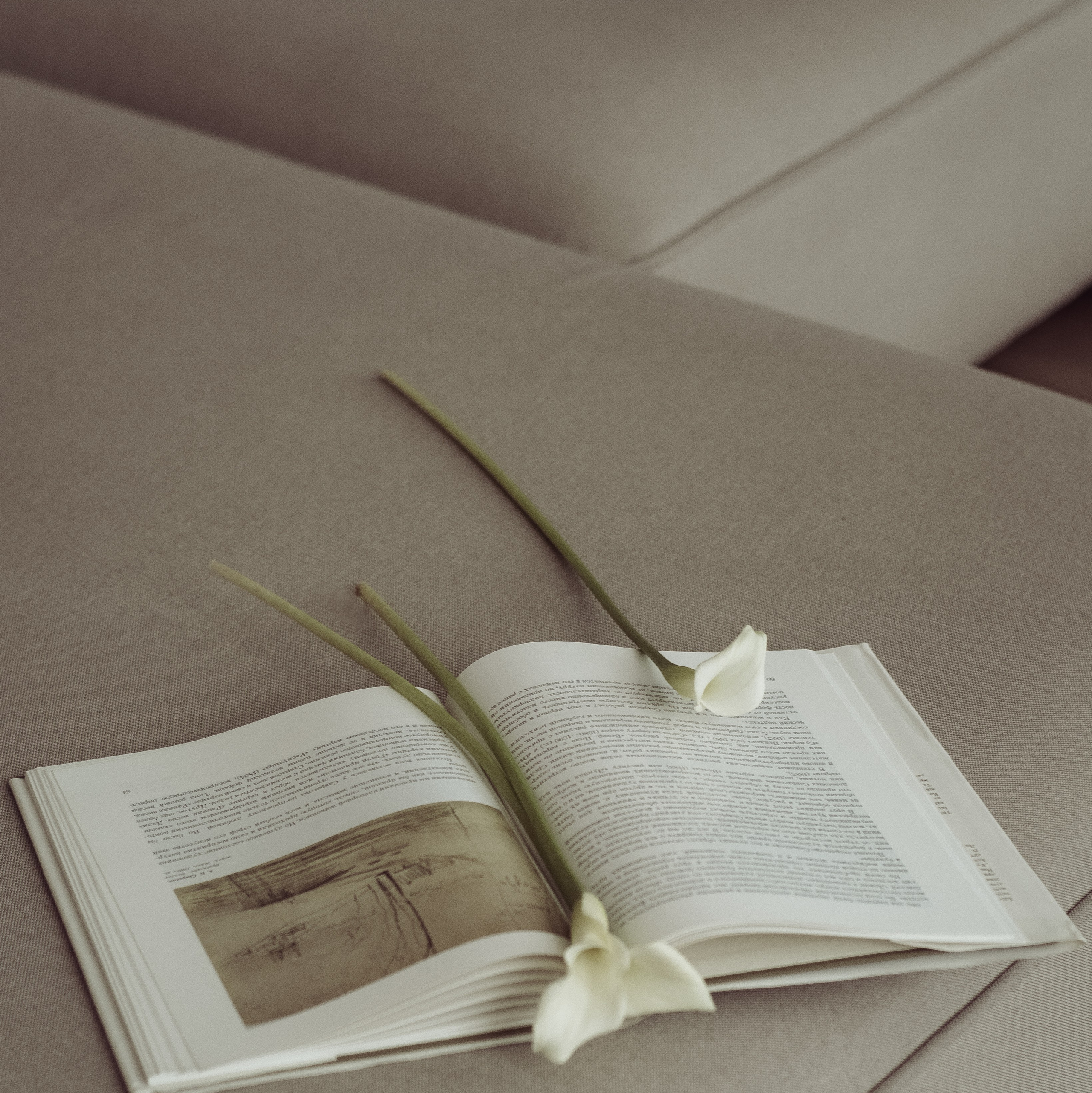 Услуги. Фотограф Бойко Антонина