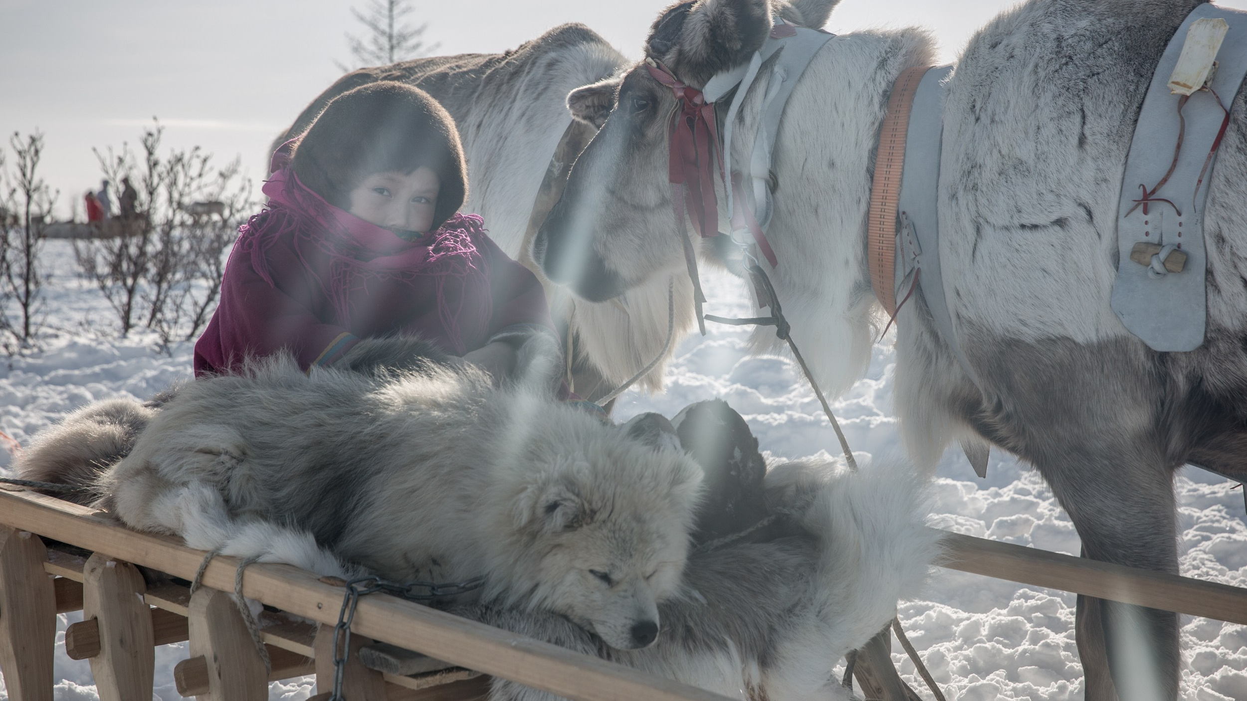 Индивидуальное обучение по документалистике. Yulia Nevskaya, documentary photographer and photojournalist